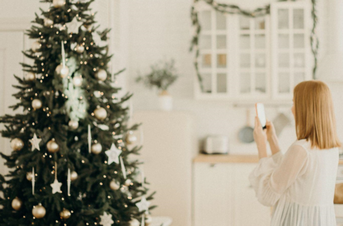 The Holiday Season: A Guide to Clean and Fresh Christmas Trees